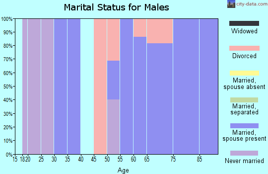 Zip code 31735 marital status for males
