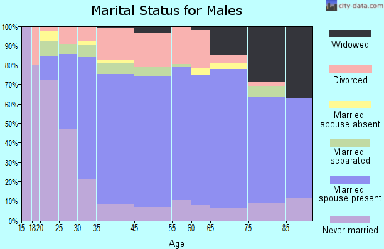 Zip code 31737 marital status for males