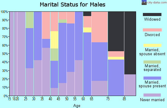 Zip code 31738 marital status for males