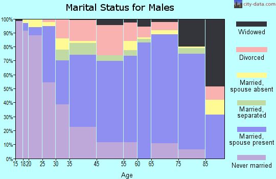 Zip code 31742 marital status for males