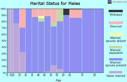 Zip code 31744 marital status for males