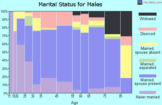 Zip code 31745 marital status for males