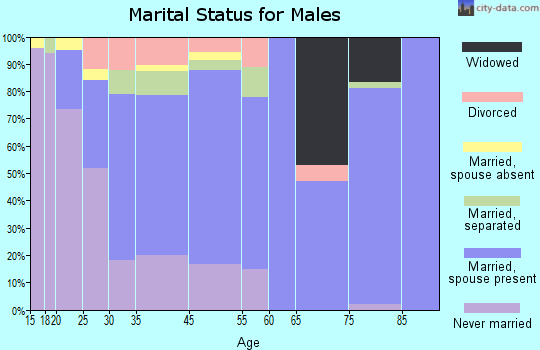 Zip code 31746 marital status for males