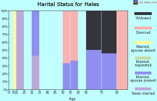 Zip code 31747 marital status for males