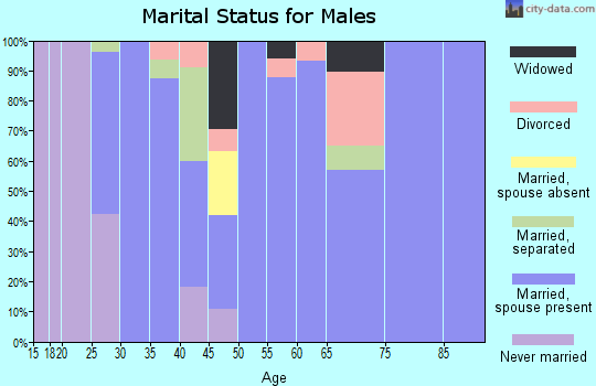 Zip code 31749 marital status for males