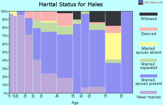 Zip code 31751 marital status for males