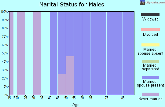 Zip code 31756 marital status for males