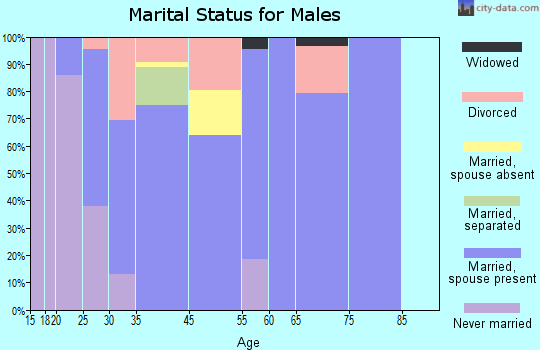 Zip code 31759 marital status for males
