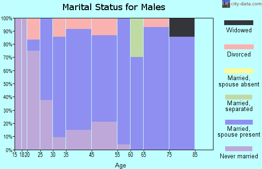 Zip code 31761 marital status for males