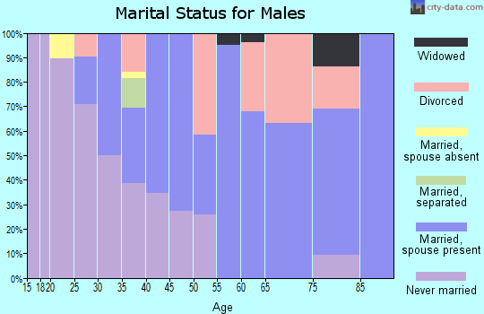 Zip code 31764 marital status for males