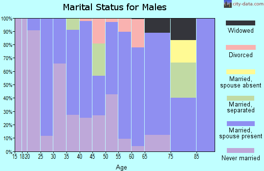 Zip code 31765 marital status for males