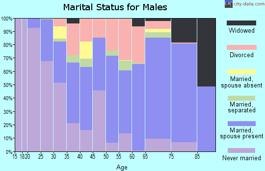 Zip code 31768 marital status for males