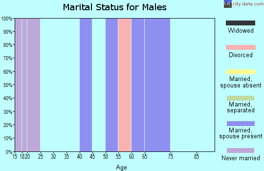 Zip code 31772 marital status for males