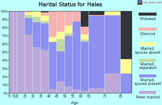 Zip code 31774 marital status for males