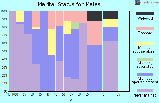 Zip code 31775 marital status for males