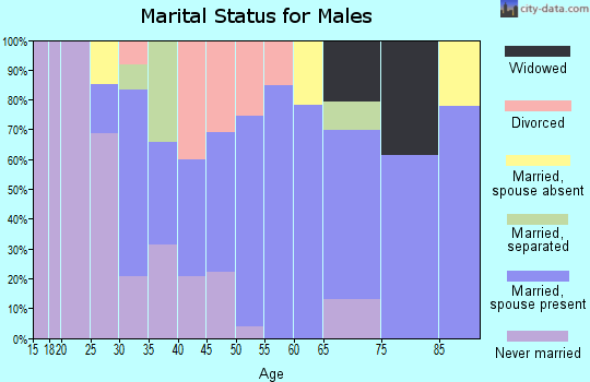 Zip code 31778 marital status for males