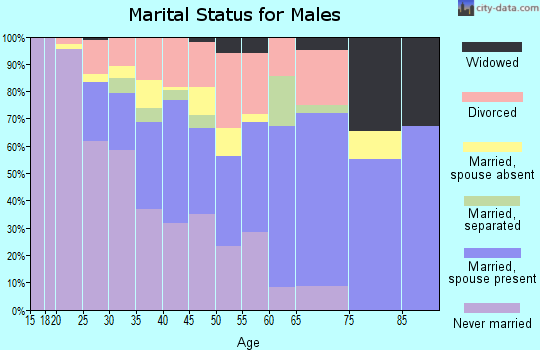 Zip code 31779 marital status for males