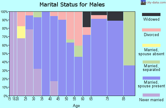Zip code 31781 marital status for males