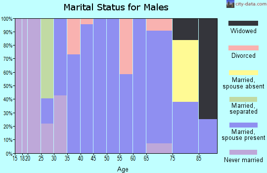 Zip code 31783 marital status for males