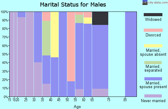 Zip code 31787 marital status for males
