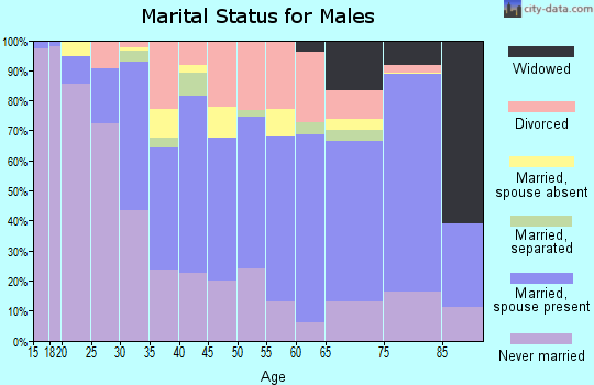 Zip code 31794 marital status for males