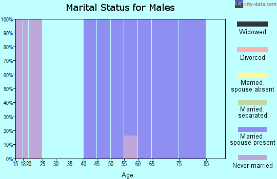Zip code 31798 marital status for males