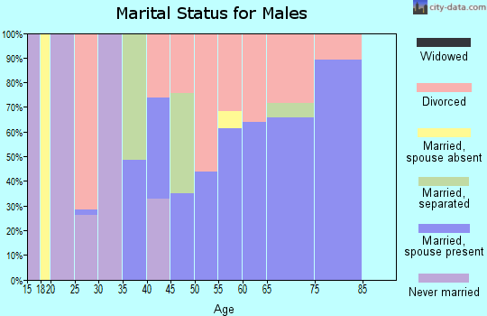 Zip code 31801 marital status for males