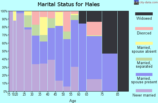 Zip code 31803 marital status for males
