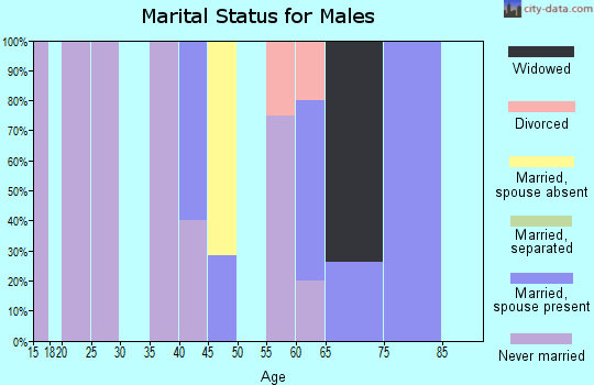 Zip code 31810 marital status for males