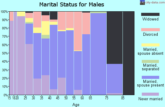 Zip code 31811 marital status for males