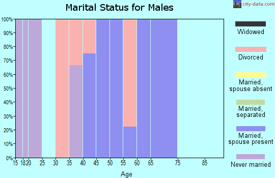 Zip code 31812 marital status for males