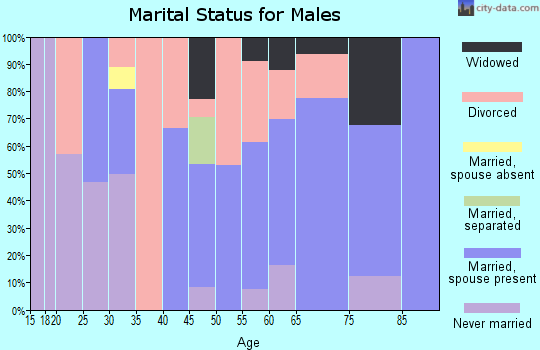 Zip code 31816 marital status for males