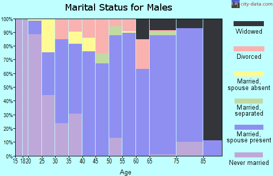 Zip code 31822 marital status for males