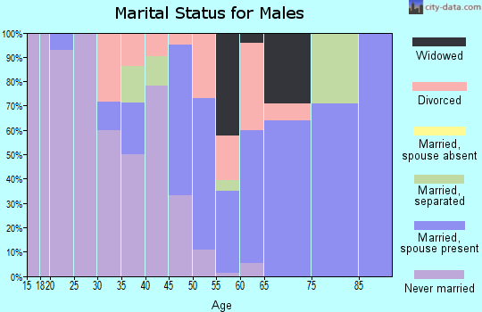 Zip code 31827 marital status for males