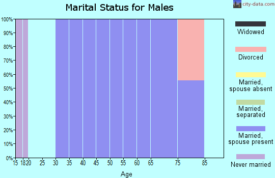 Zip code 31829 marital status for males