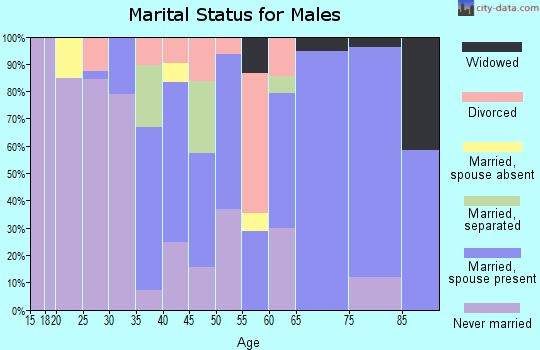 Zip code 31833 marital status for males
