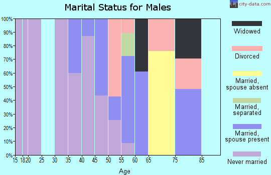 Zip code 31836 marital status for males