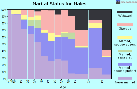 Zip code 31903 marital status for males