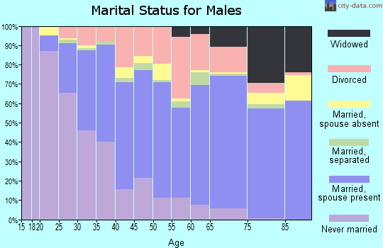 Zip code 31904 marital status for males
