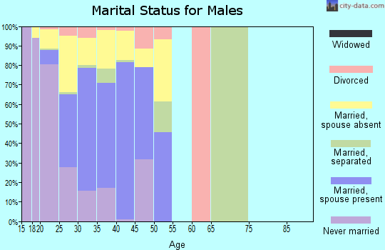 Zip code 31905 marital status for males