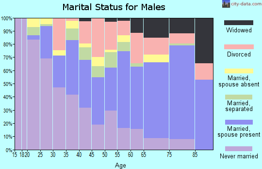 Zip code 31906 marital status for males