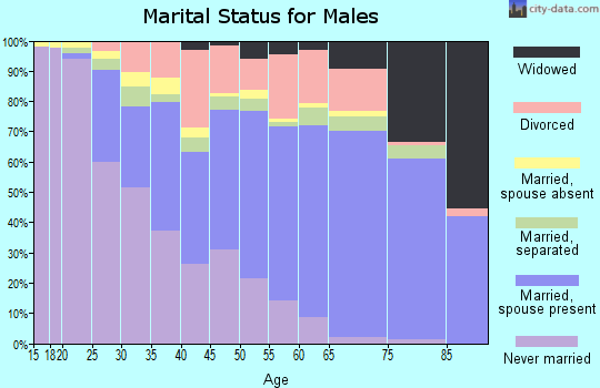 Zip code 31907 marital status for males