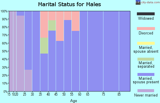 Zip code 32009 marital status for males