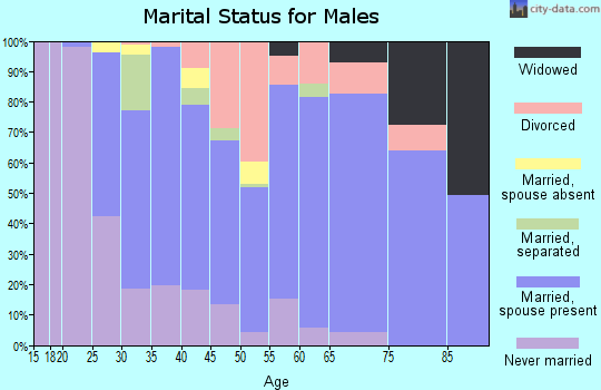 Zip code 32011 marital status for males