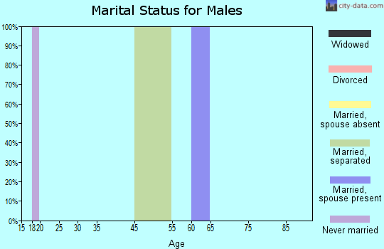 Zip code 32013 marital status for males