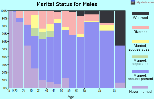 Zip code 32024 marital status for males