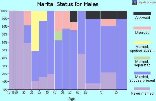 Zip code 32033 marital status for males