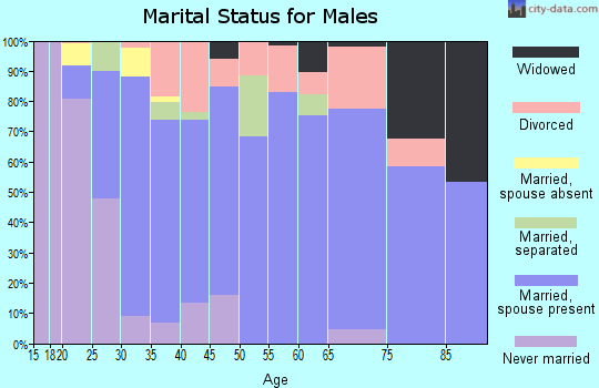 Zip code 32040 marital status for males
