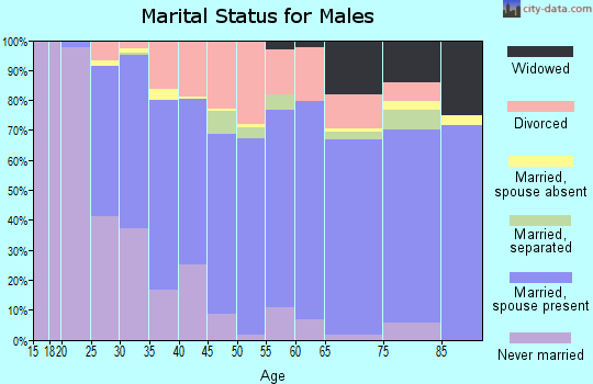 Zip code 32043 marital status for males