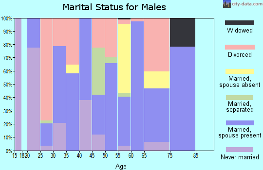 Zip code 32044 marital status for males